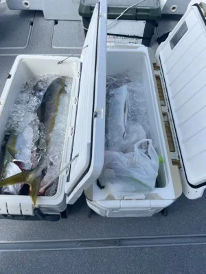 第二大福丸の2025年9月28日(日)3枚目の写真