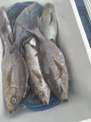 金盛丸の2025年10月30日(木)1枚目の写真