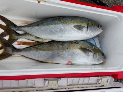 金盛丸の2025年10月31日(金)1枚目の写真