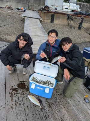 安乗釣センターの2025年11月3日(月)2枚目の写真