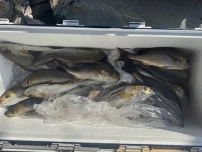 秀月丸の2025年11月1日(土)2枚目の写真