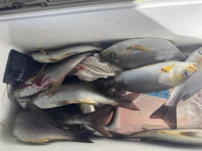 秀月丸の2025年11月1日(土)4枚目の写真