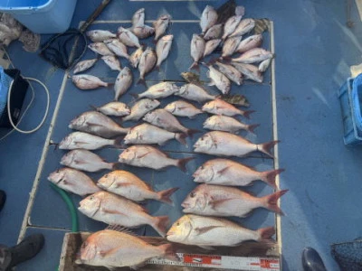 秀月丸の2025年11月2日(日)2枚目の写真