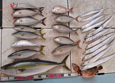 SUSIMARUの2025年11月2日(日)2枚目の写真