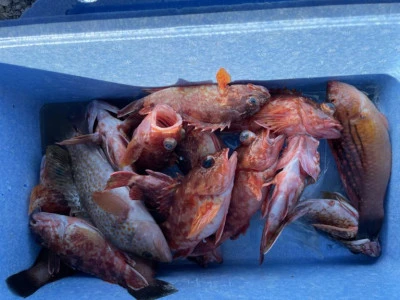 海の都 勢力丸の2025年10月29日(水)3枚目の写真