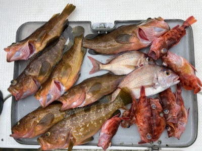 海の都 勢力丸の2025年10月31日(金)1枚目の写真