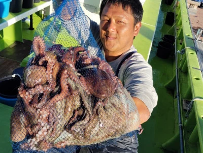 横内丸の2025年11月3日(月)2枚目の写真