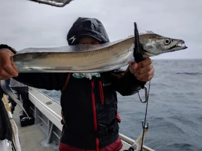 神幸丸の2025年10月31日(金)4枚目の写真