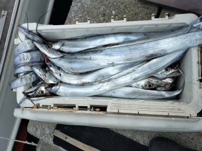 神幸丸の2025年11月2日(日)3枚目の写真