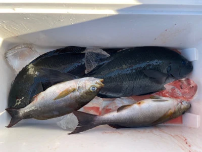 第３ 正幸丸の2025年10月29日(水)2枚目の写真