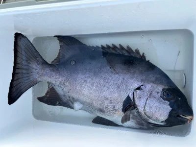 乙島丸の2025年10月29日(水)2枚目の写真