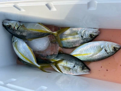 乙島丸の2025年10月29日(水)3枚目の写真