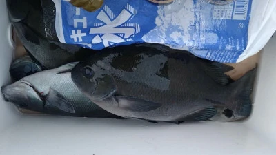 乙島丸の2025年10月29日(水)4枚目の写真