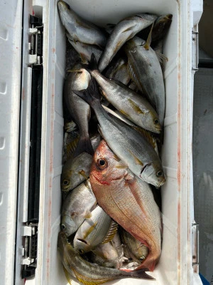 にゃんこ丸の2025年11月1日(土)1枚目の写真