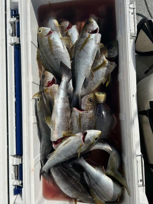 にゃんこ丸の2025年11月3日(月)1枚目の写真