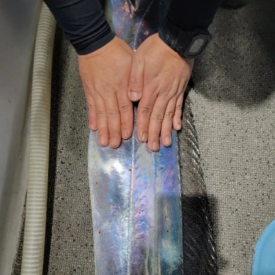 海晴丸の2025年10月28日(火)2枚目の写真