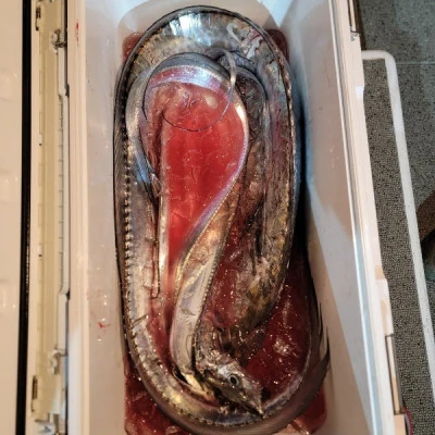 海晴丸の2025年10月28日(火)3枚目の写真