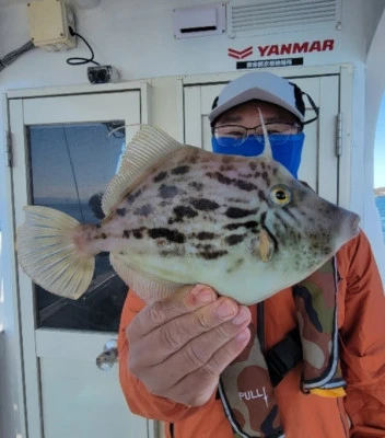 海晴丸の2025年11月3日(月)2枚目の写真