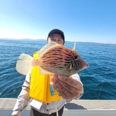 海晴丸の2025年11月3日(月)4枚目の写真