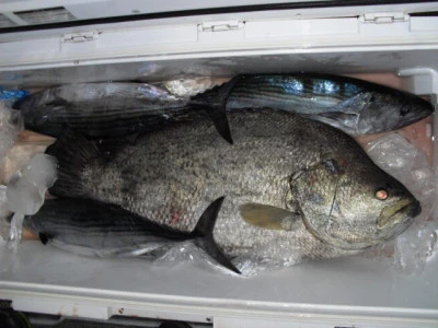 絢美丸の2025年10月25日(土)2枚目の写真