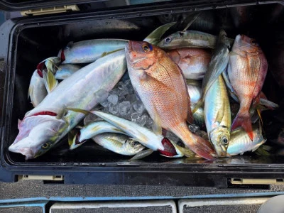 幸伸丸の2025年10月29日(水)1枚目の写真