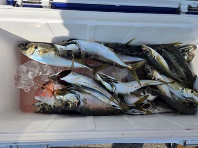 幸伸丸の2025年10月29日(水)2枚目の写真