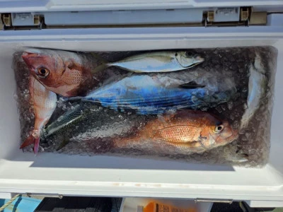 幸伸丸の2025年10月29日(水)3枚目の写真