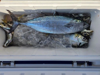 幸伸丸の2025年10月29日(水)4枚目の写真