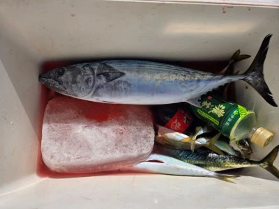 幸伸丸の2025年10月29日(水)5枚目の写真