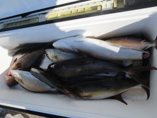 恵比須丸の2025年10月9日(木)2枚目の写真