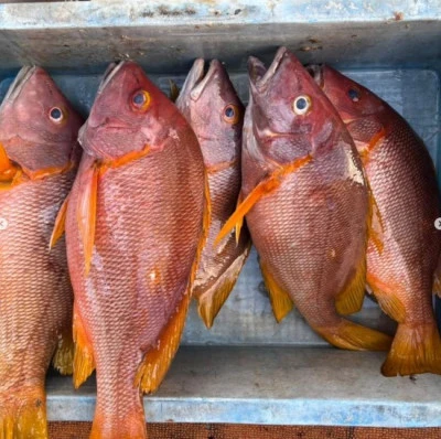 サザンクロスの2025年10月26日(日)3枚目の写真