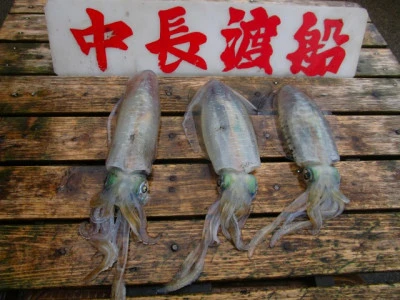 中長渡船の2025年11月4日(火)2枚目の写真