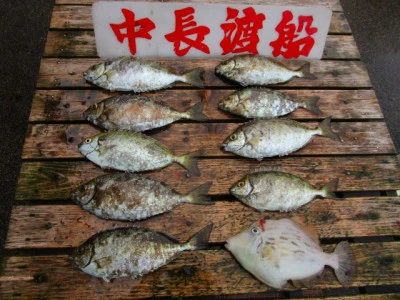 中長渡船の2025年11月4日(火)3枚目の写真