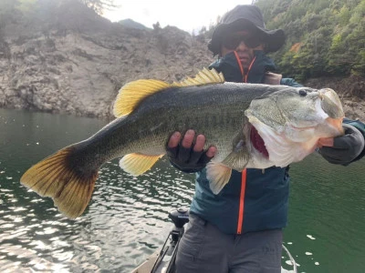 Y企画の2025年11月4日(火)1枚目の写真