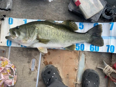 Y企画の2025年11月4日(火)2枚目の写真