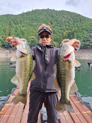 Y企画の2025年11月2日(日)1枚目の写真