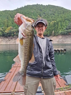 Y企画の2025年11月2日(日)2枚目の写真