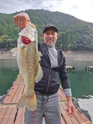 Y企画の2025年11月2日(日)3枚目の写真