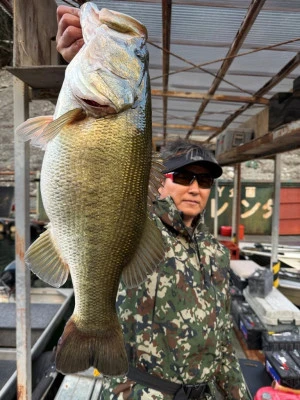 Y企画の2025年11月1日(土)1枚目の写真