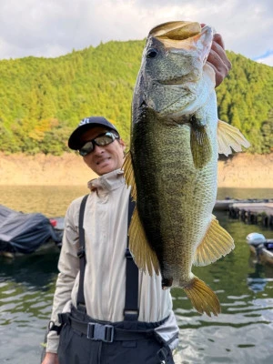 Y企画の2025年11月1日(土)2枚目の写真