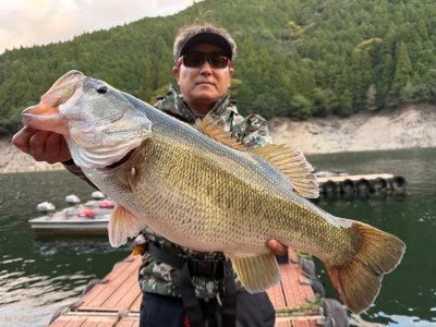 Y企画の2025年11月1日(土)3枚目の写真