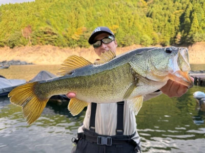 Y企画の2025年11月1日(土)4枚目の写真