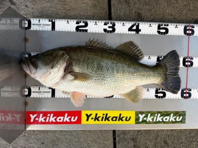 Y企画の2025年11月1日(土)5枚目の写真