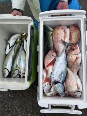 釣り船 黒潮丸の2025年11月5日(水)2枚目の写真