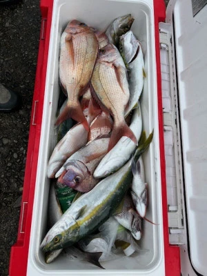 釣り船 黒潮丸の2025年11月5日(水)3枚目の写真