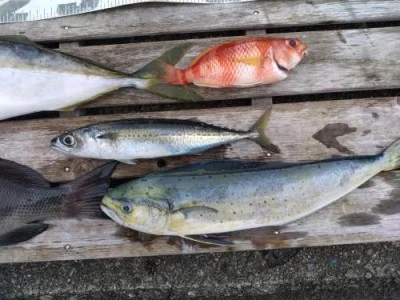 利一丸の2025年11月5日(水)1枚目の写真