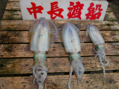 中長渡船の2025年11月5日(水)2枚目の写真