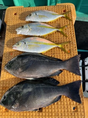 とせん丸の2025年11月6日(木)2枚目の写真