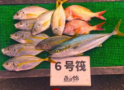 三重外湾漁協 錦事業所直営 釣り筏の2025年11月3日(月)1枚目の写真