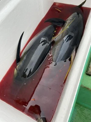 翔太丸の2025年11月6日(木)4枚目の写真